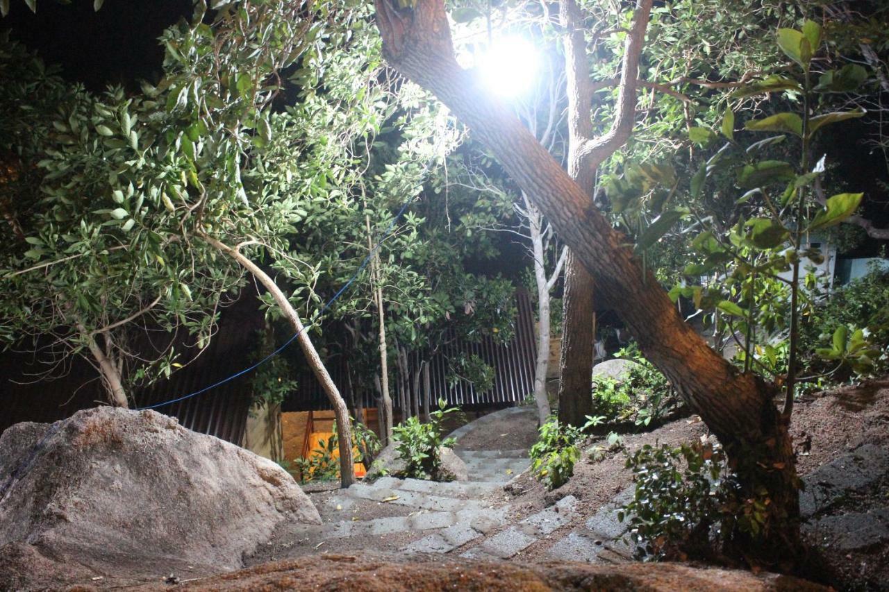 Thanh Nhi Homestay カムラン エクステリア 写真